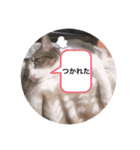 ♡琴子スタンプ♡（個別スタンプ：21）