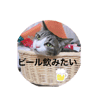 ♡琴子スタンプ♡（個別スタンプ：23）