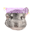 ださかわ！まぁちゃんのでこでこスタンプ（個別スタンプ：6）
