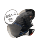 さとうはいつもいっしょ！（個別スタンプ：10）
