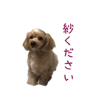 ましゅだよ（個別スタンプ：7）