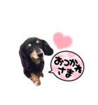 チック♡(パート1)（個別スタンプ：4）