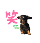 チック♡(パート1)（個別スタンプ：5）