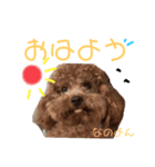 シャロンともっぷの日常なのよん（個別スタンプ：1）