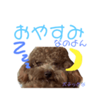 シャロンともっぷの日常なのよん（個別スタンプ：2）