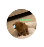 ポン太(仮)（個別スタンプ：7）