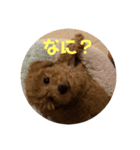 ポン太(仮)（個別スタンプ：8）
