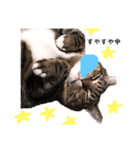 ねこのあっちゃん（個別スタンプ：2）