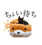 みーちゃん＆テトスタンプ（個別スタンプ：5）