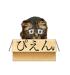 みーちゃん＆テトスタンプ（個別スタンプ：10）