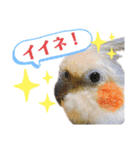 ちろぴーすけぷぅ3（個別スタンプ：2）