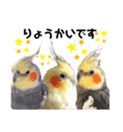 ちろぴーすけぷぅ3（個別スタンプ：5）