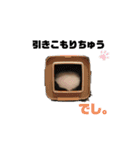 フェレット日和。（個別スタンプ：2）