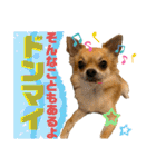 我が家の小さな王様4（個別スタンプ：7）