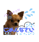 我が家の小さな王様4（個別スタンプ：9）