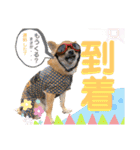 我が家の小さな王様4（個別スタンプ：16）