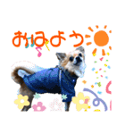 我が家の小さな王様4（個別スタンプ：20）