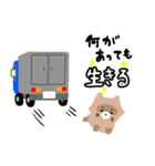 ほんわかたぬぅ（個別スタンプ：24）