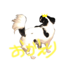 犬 チワワ るん（個別スタンプ：8）