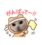 cat‐2（個別スタンプ：7）