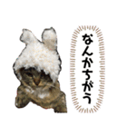 短足マンチカンのクリスタちゃん♀7（個別スタンプ：8）
