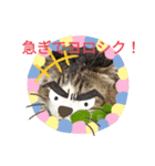 みけねこの会話（個別スタンプ：4）