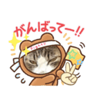 みけねこの会話（個別スタンプ：5）