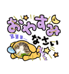 みけねこの会話（個別スタンプ：6）