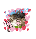 みけねこの会話（個別スタンプ：8）