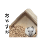 ワルツちゃん（個別スタンプ：10）