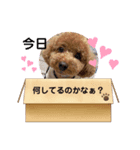 凛太郎とモコの夏（個別スタンプ：7）