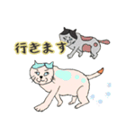 703犬さん＆猫さん（個別スタンプ：19）