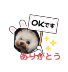 ワンちゃん仲間たち（個別スタンプ：5）