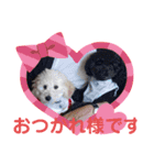 ワンちゃん仲間たち（個別スタンプ：7）