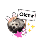 ワンちゃん仲間たち（個別スタンプ：9）