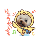 ワンちゃん仲間たち（個別スタンプ：10）