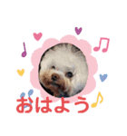ワンちゃん仲間たち（個別スタンプ：16）
