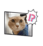 むぎさん！（個別スタンプ：3）