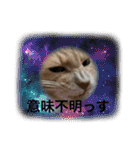 むぎさん！（個別スタンプ：5）