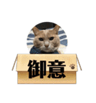 むぎさん！（個別スタンプ：9）