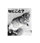 むぎさん！（個別スタンプ：18）