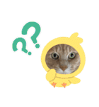むぎさん！（個別スタンプ：31）