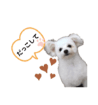 山本家のねりもの（個別スタンプ：10）