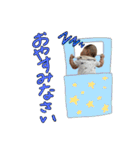 莉汰の日常スタンプvol.2（個別スタンプ：9）