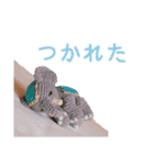 ほっこりあみぐるみスタンプ（個別スタンプ：19）