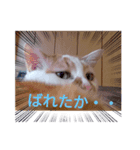 だるだるちゃびたん（個別スタンプ：1）