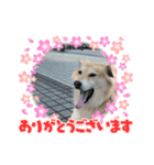 いつでももん太（個別スタンプ：3）