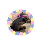 ✰︎✰︎✰︎✰︎✰︎（個別スタンプ：4）