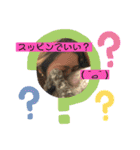 ✰︎✰︎✰︎✰︎✰︎（個別スタンプ：9）