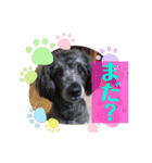 ✰︎✰︎✰︎✰︎✰︎（個別スタンプ：16）